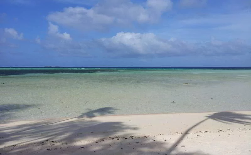 Marshall Islands Law Firm